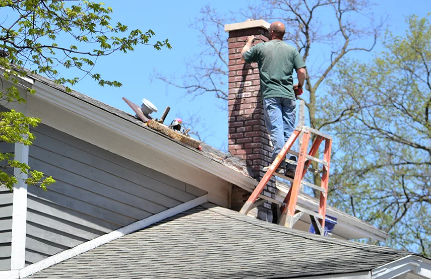 Chimney & Fireplace Inspections Services in Milford Mill, MD